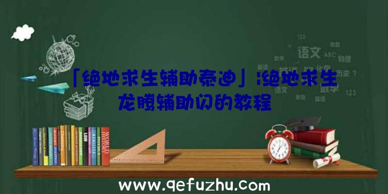 「绝地求生辅助泰迪」|绝地求生龙腾辅助闪的教程